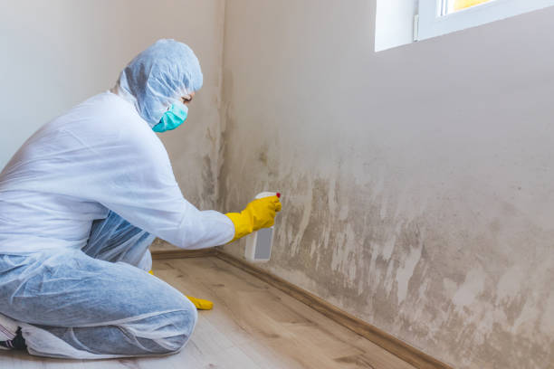 Crawl Space Mold Remediation treatment of floor joists in Waynesboro